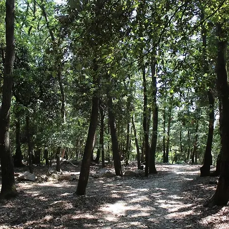 Сasa de vacaciones Ciliegi Monte Marcello