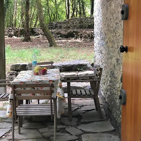 Kirschbaeume, Eine Oase Im Wald Zwischen Und Holiday home