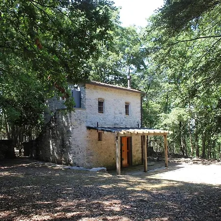 Kirschbaeume, Eine Oase Im Wald Zwischen Und Holiday home *