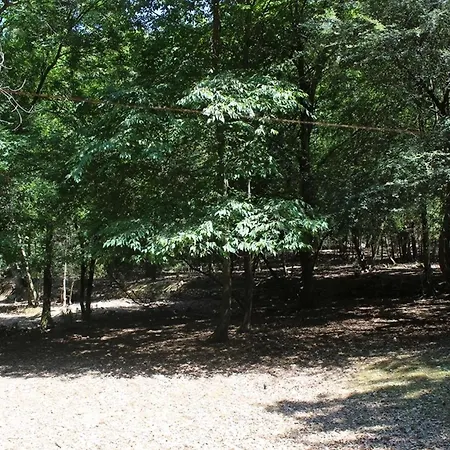 Holiday home Kirschbaeume, Eine Oase Im Wald Zwischen Und Monte Marcello