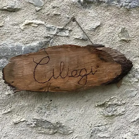 Ciliegi * Monte Marcello