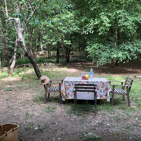 Holiday home Kirschbaeume, Eine Oase Im Wald Zwischen Und *