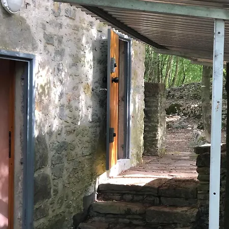 Kirschbaeume, Eine Oase Im Wald Zwischen Und * Monte Marcello