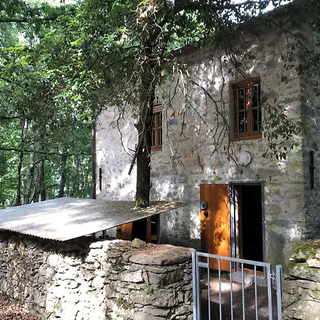 Kirschbaeume, Eine Oase Im Wald Zwischen Und *